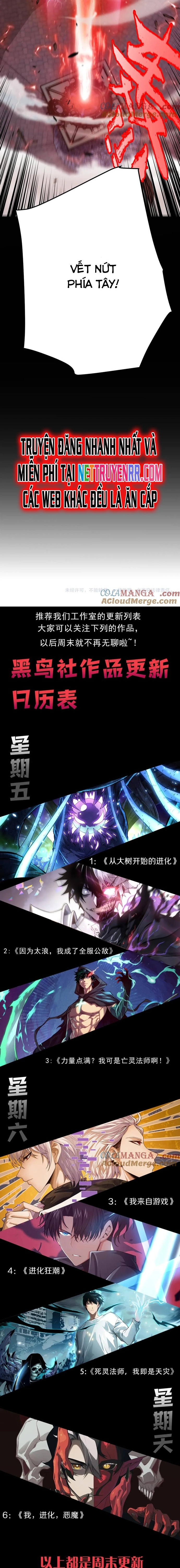 Chapter 339