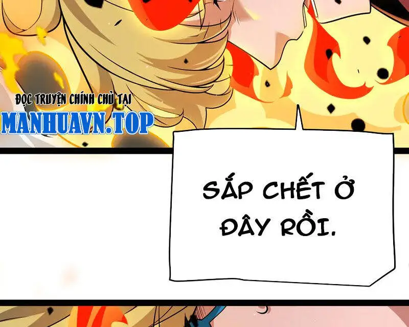 Chapter 321