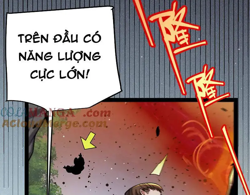 Chapter 321