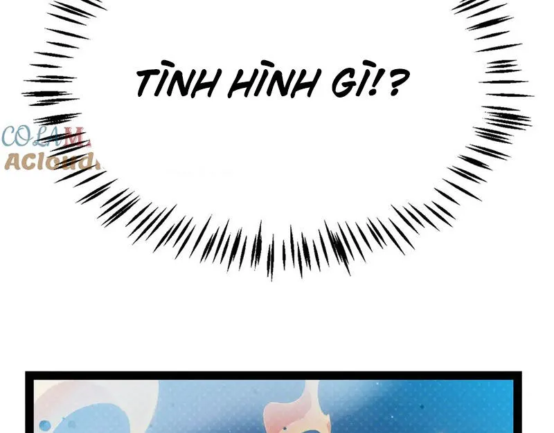 Chapter 319
