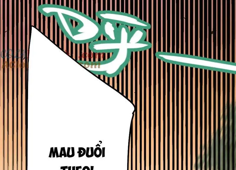 Chapter 316