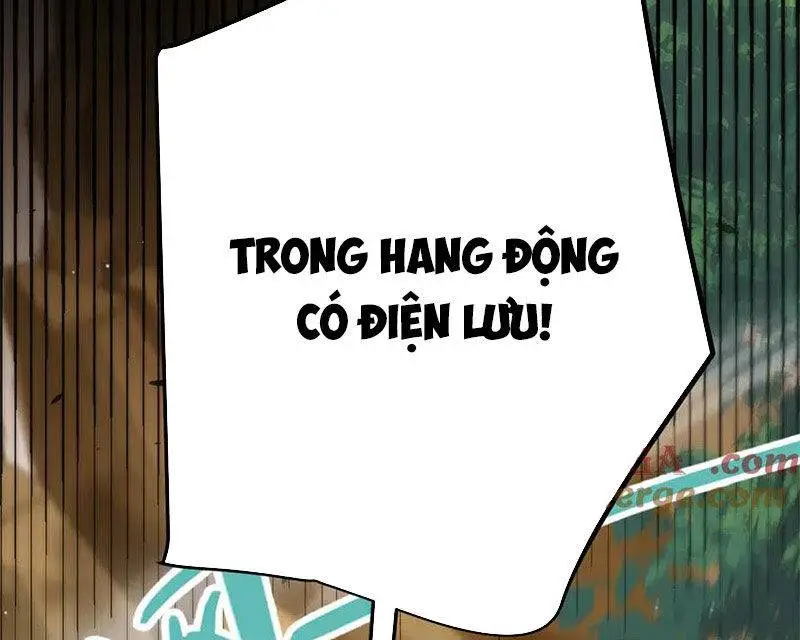 Chapter 316