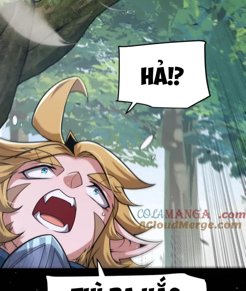 Chapter 312