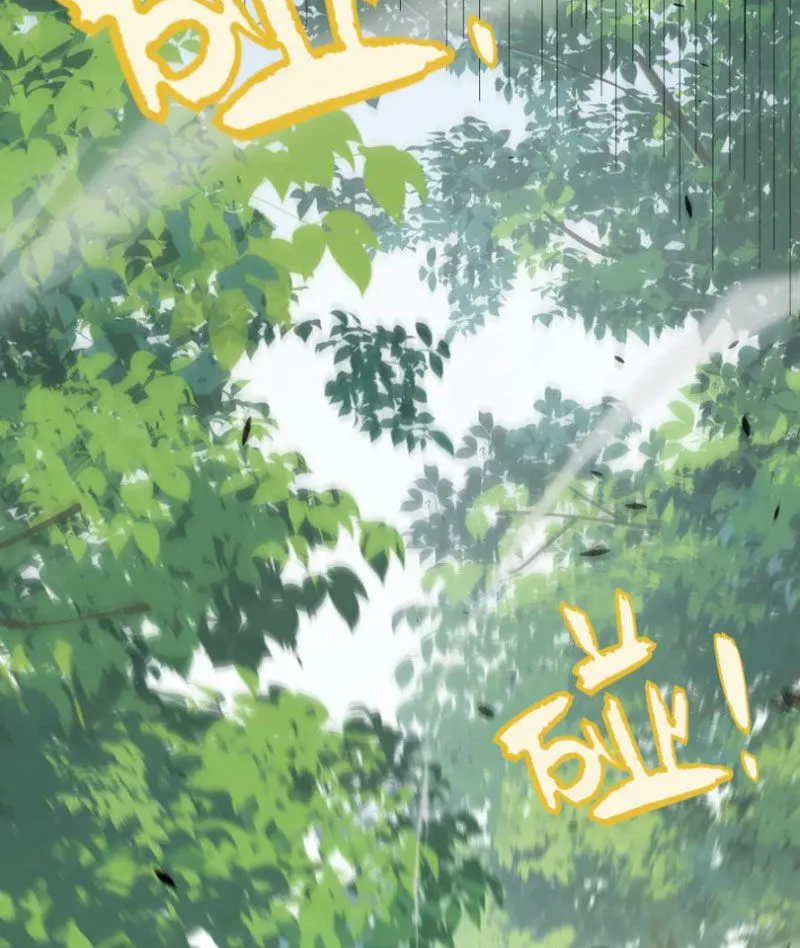 Chapter 312