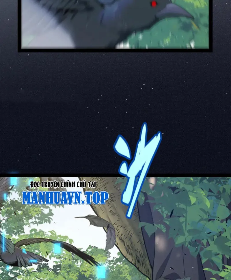Chapter 312