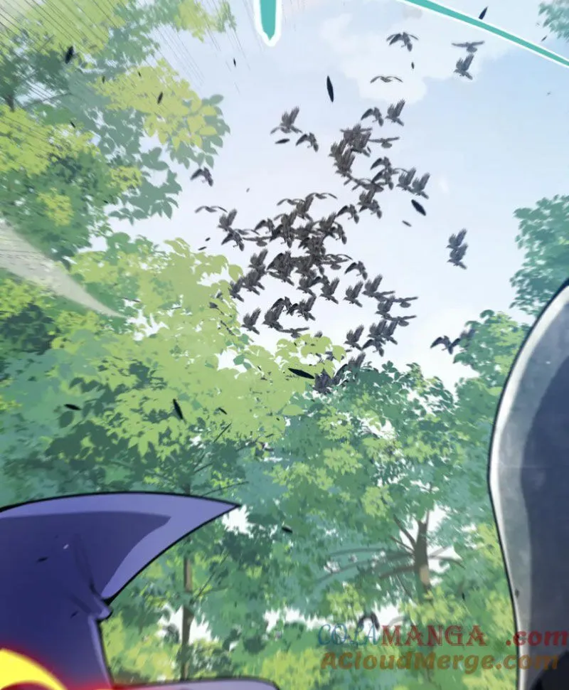 Chapter 312