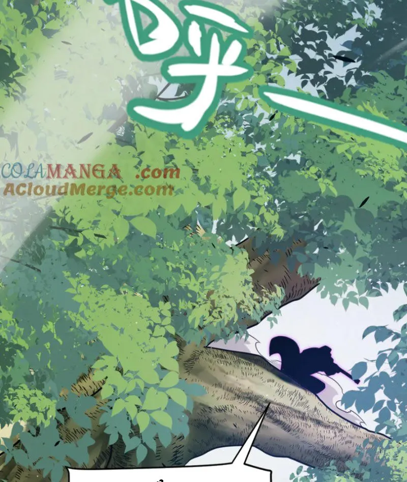 Chapter 312