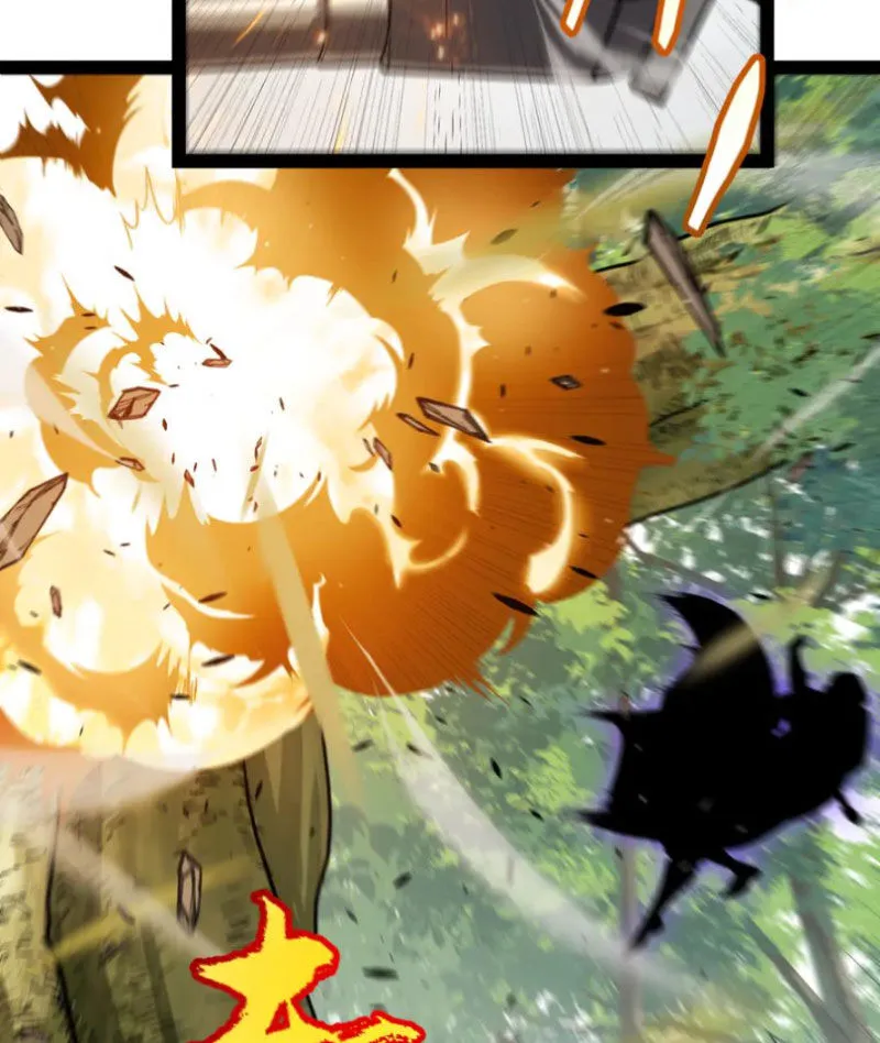 Chapter 312
