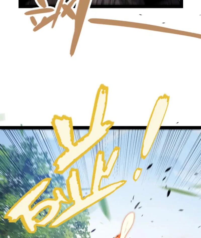 Chapter 312