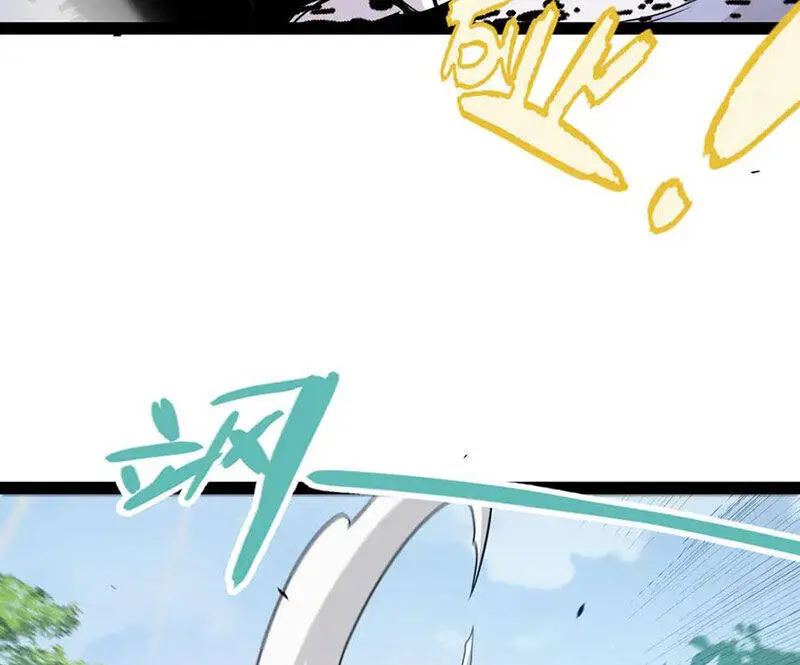 Chapter 311