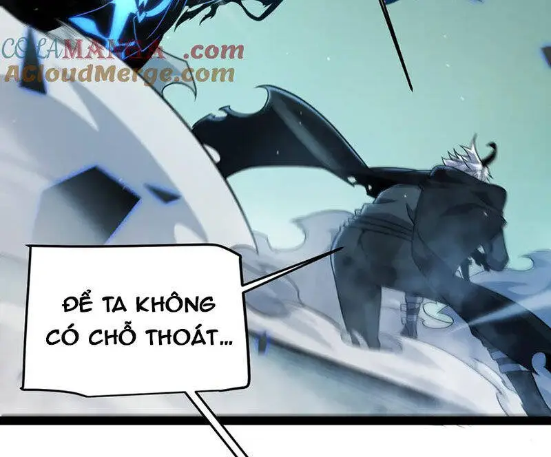 Chapter 311