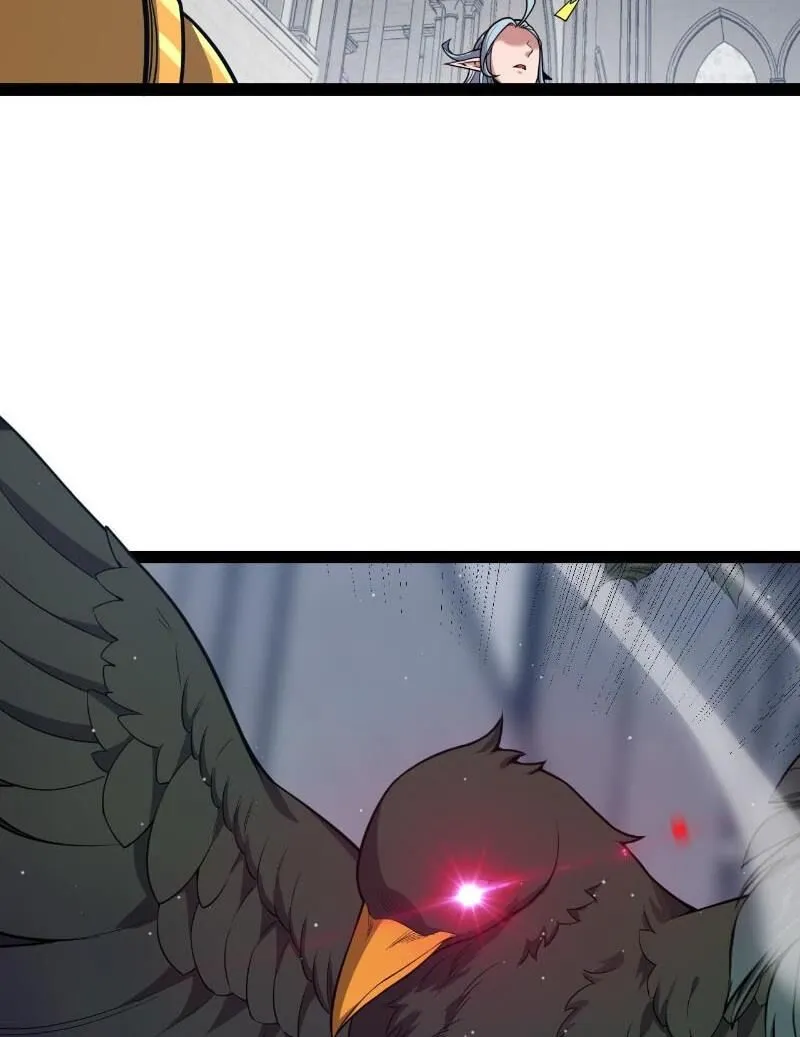 Chapter 306