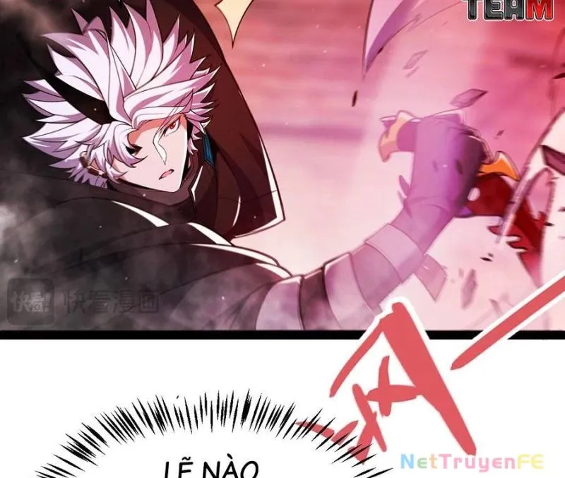 Chapter 305