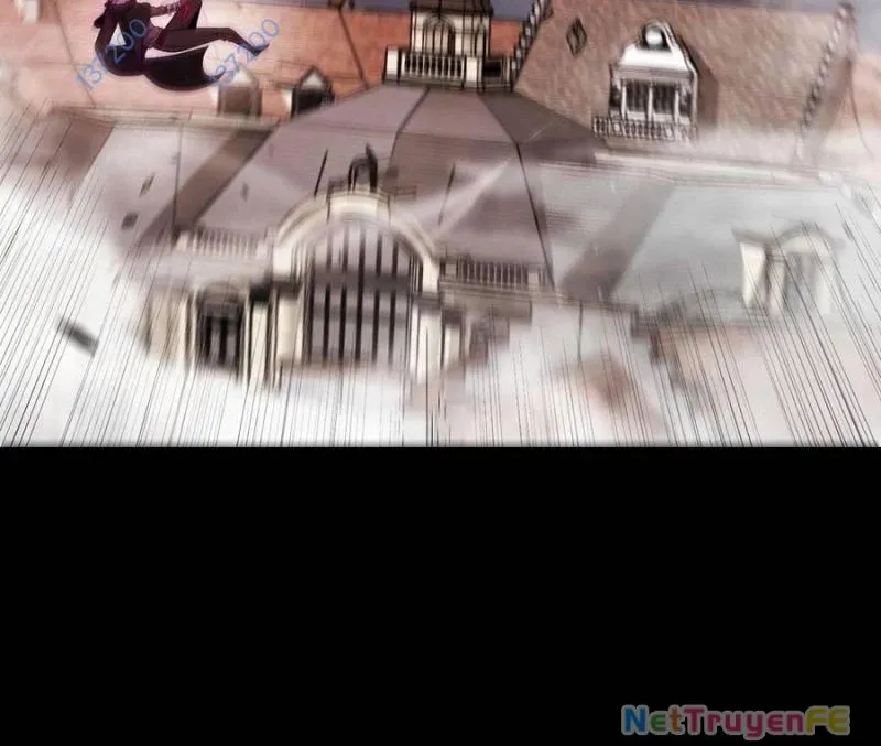 Chapter 305