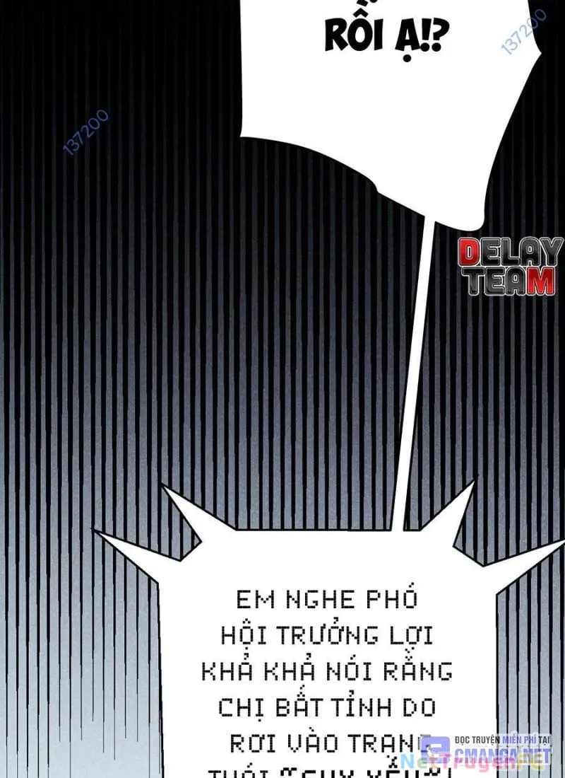 Chapter 305