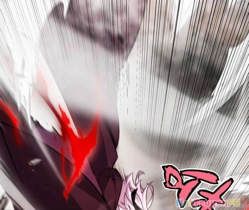 Chapter 305