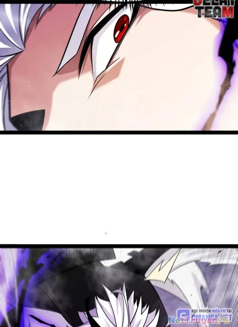 Chapter 305