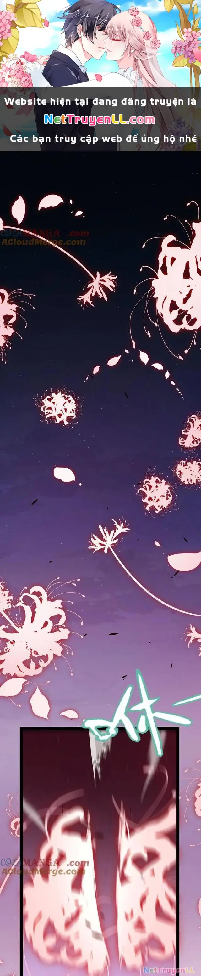Chapter 299