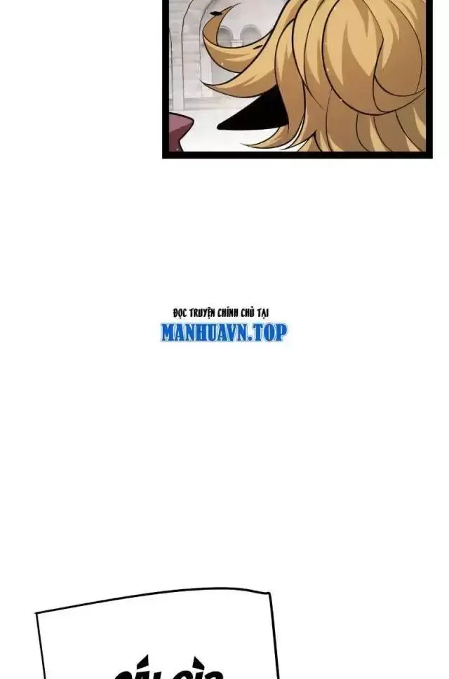 Chapter 295
