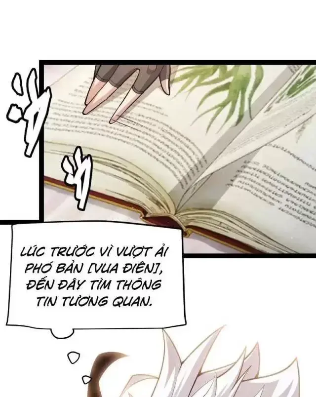 Chapter 295