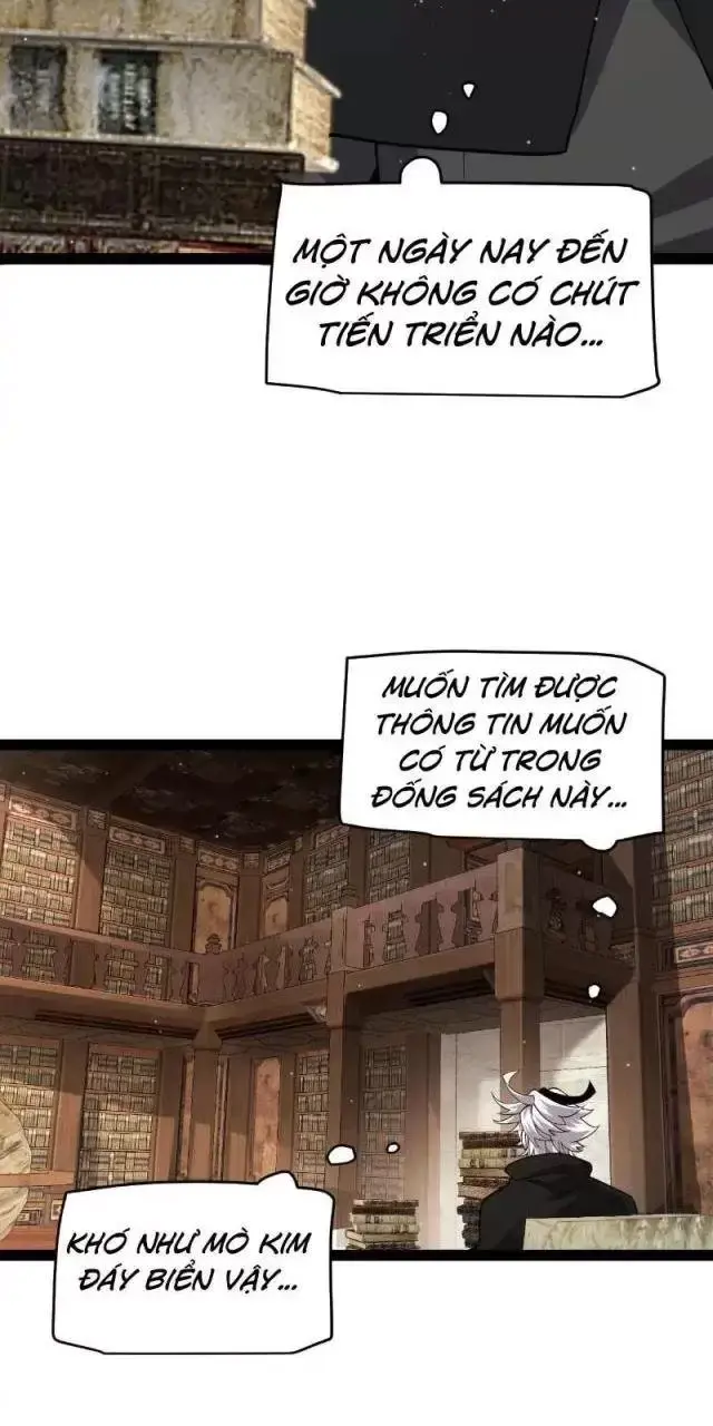 Chapter 295