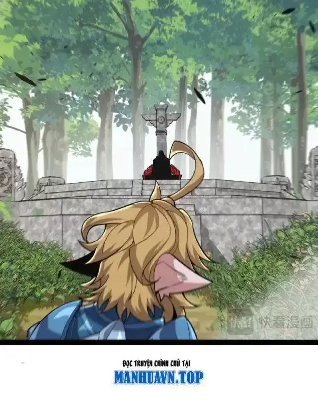 Chapter 295