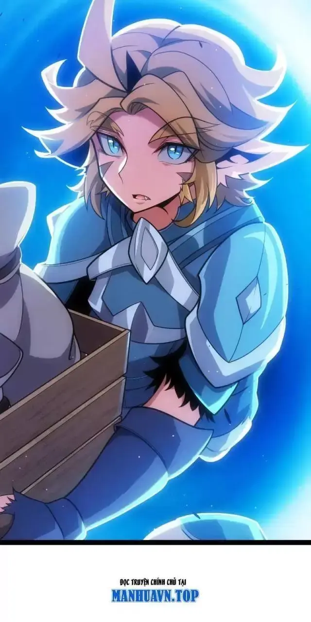 Chapter 295