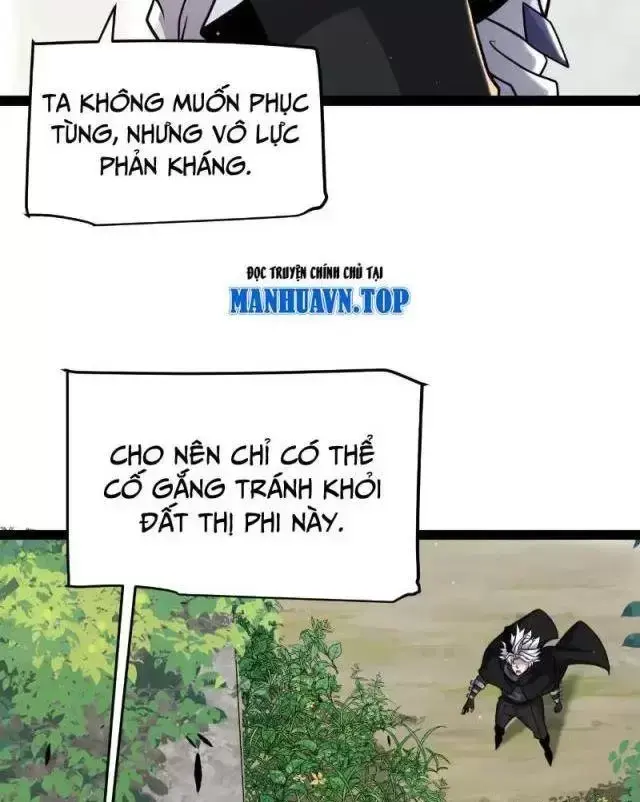Chapter 295