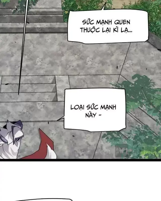 Chapter 295