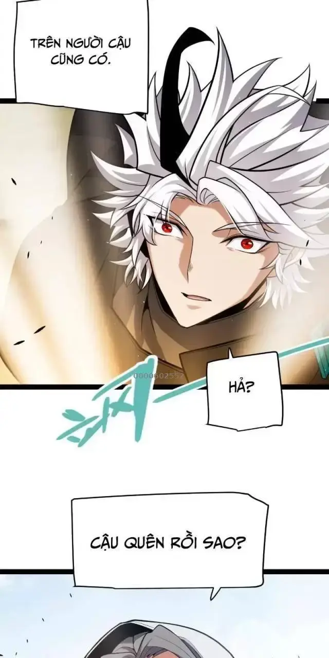 Chapter 295