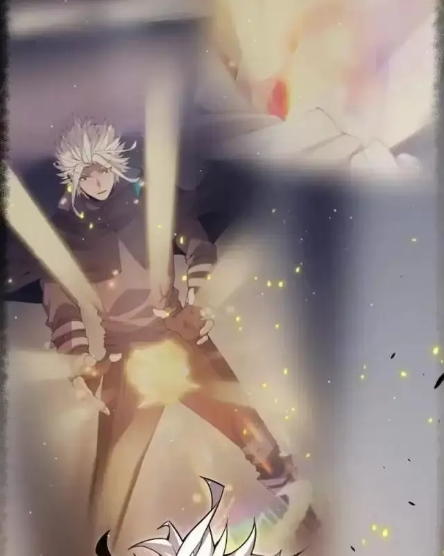 Chapter 295