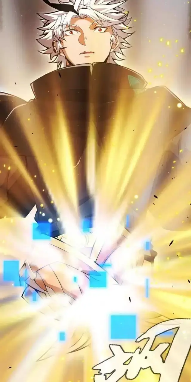 Chapter 295