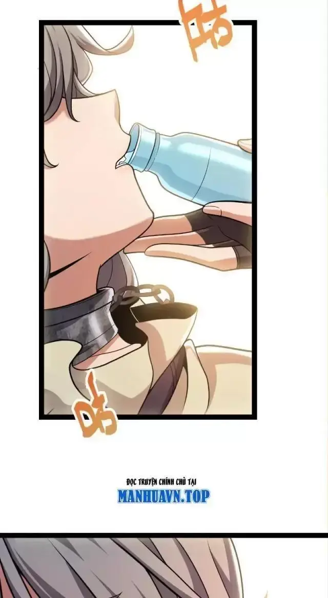 Chapter 295
