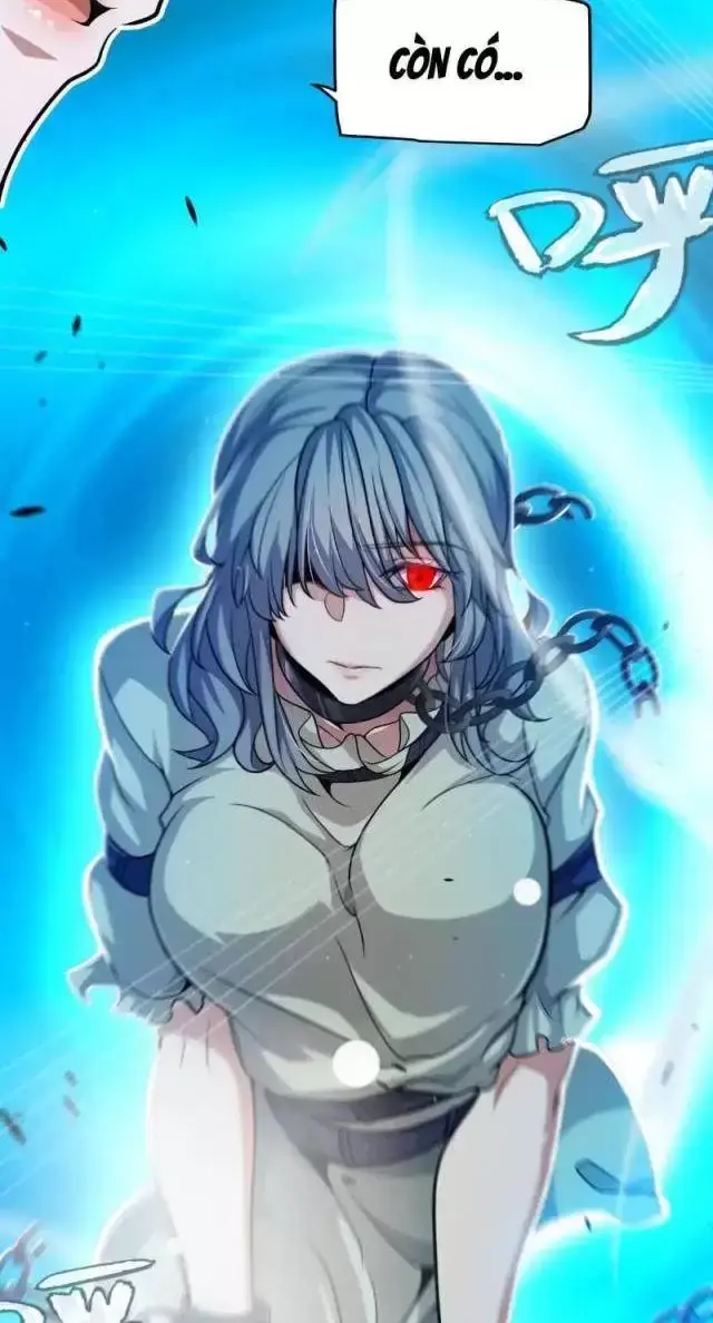 Chapter 295