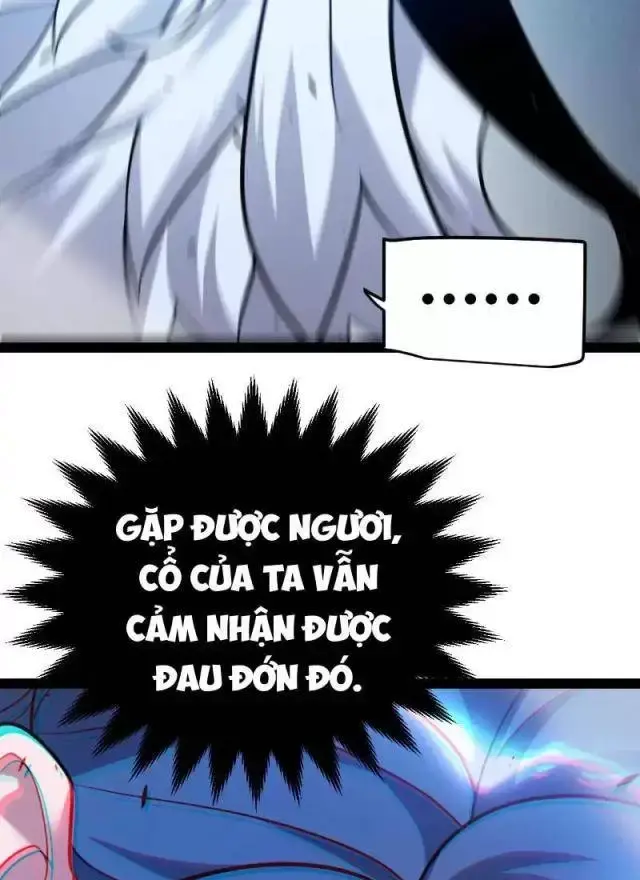 Chapter 294