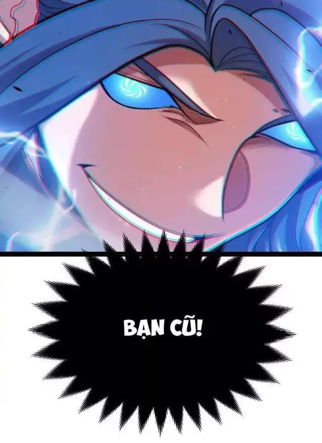 Chapter 294