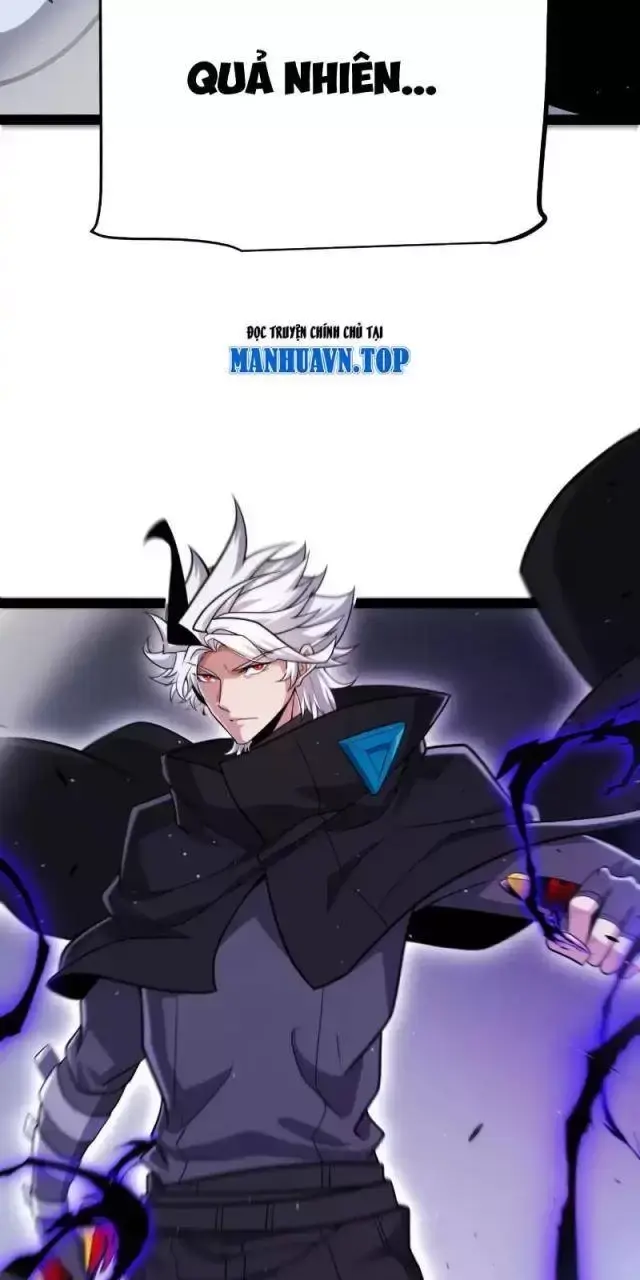Chapter 294