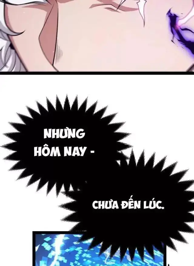 Chapter 294