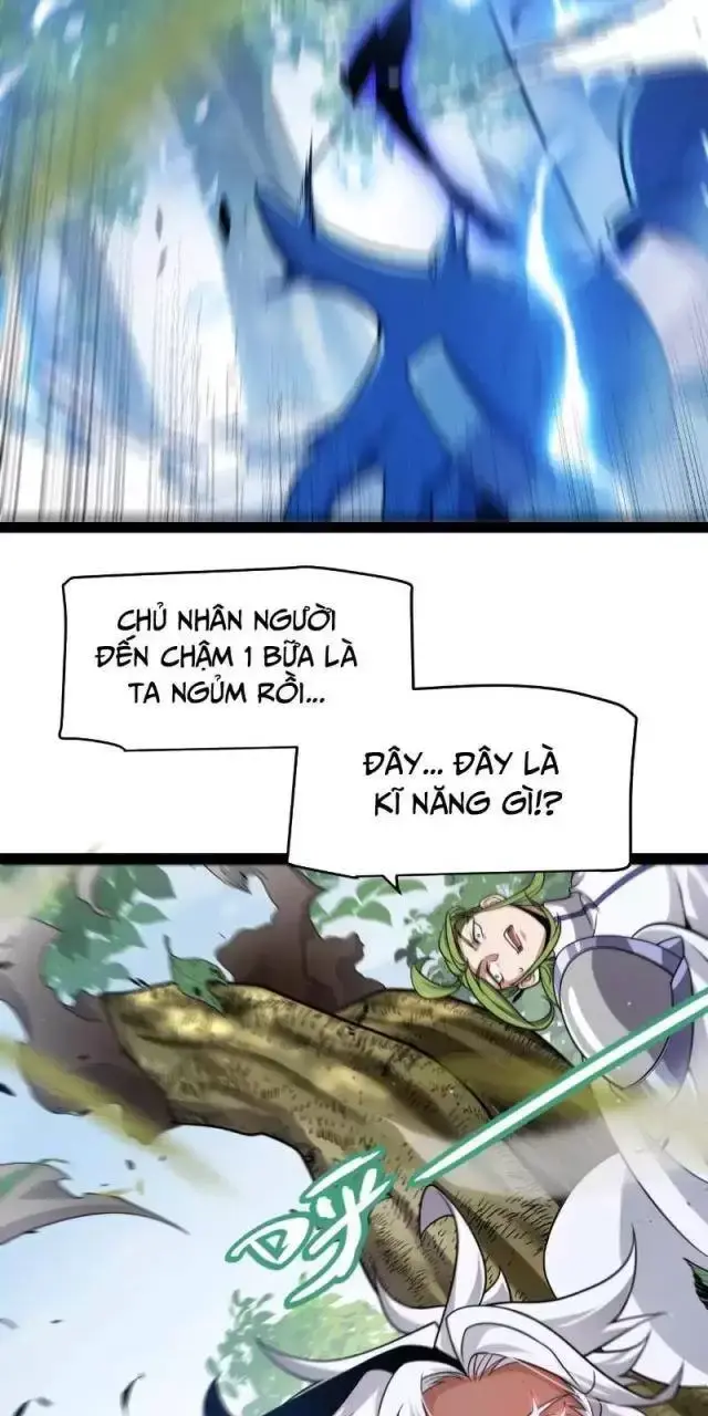 Chapter 294