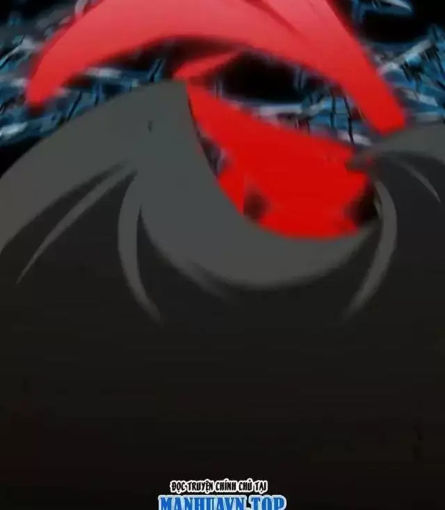 Chapter 294