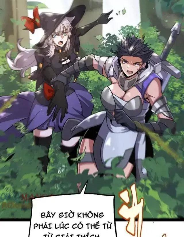 Chapter 293