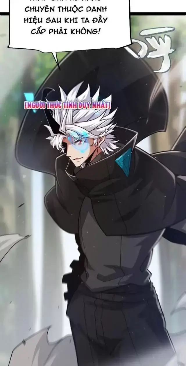 Chapter 293