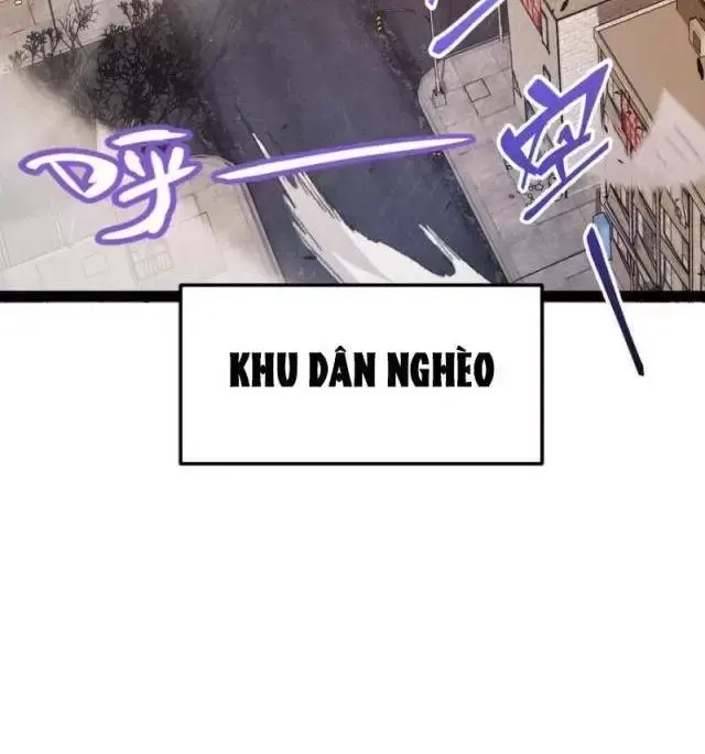 Chapter 291