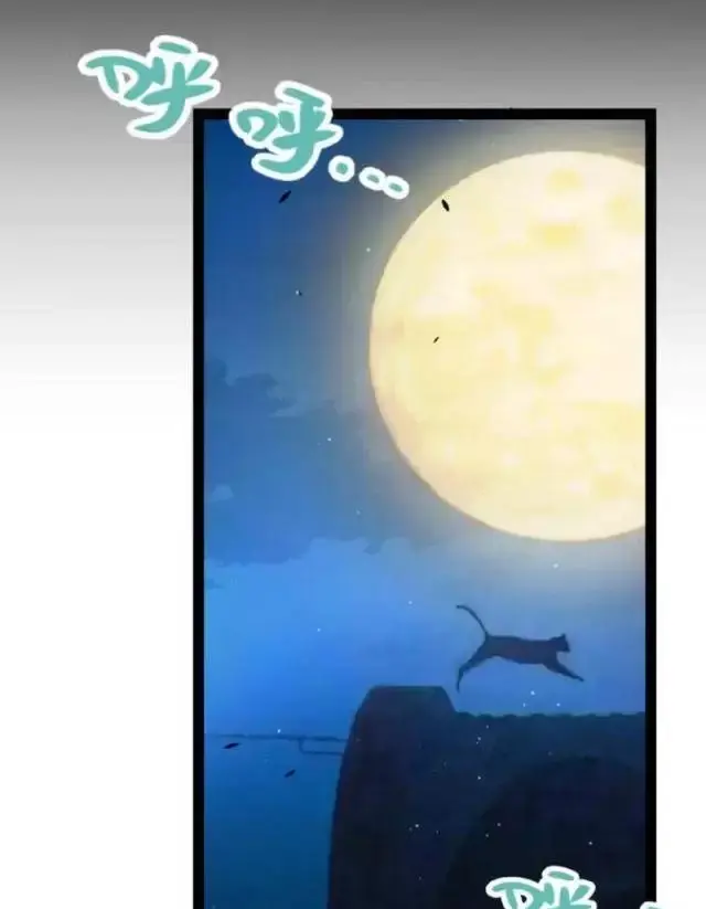 Chapter 291