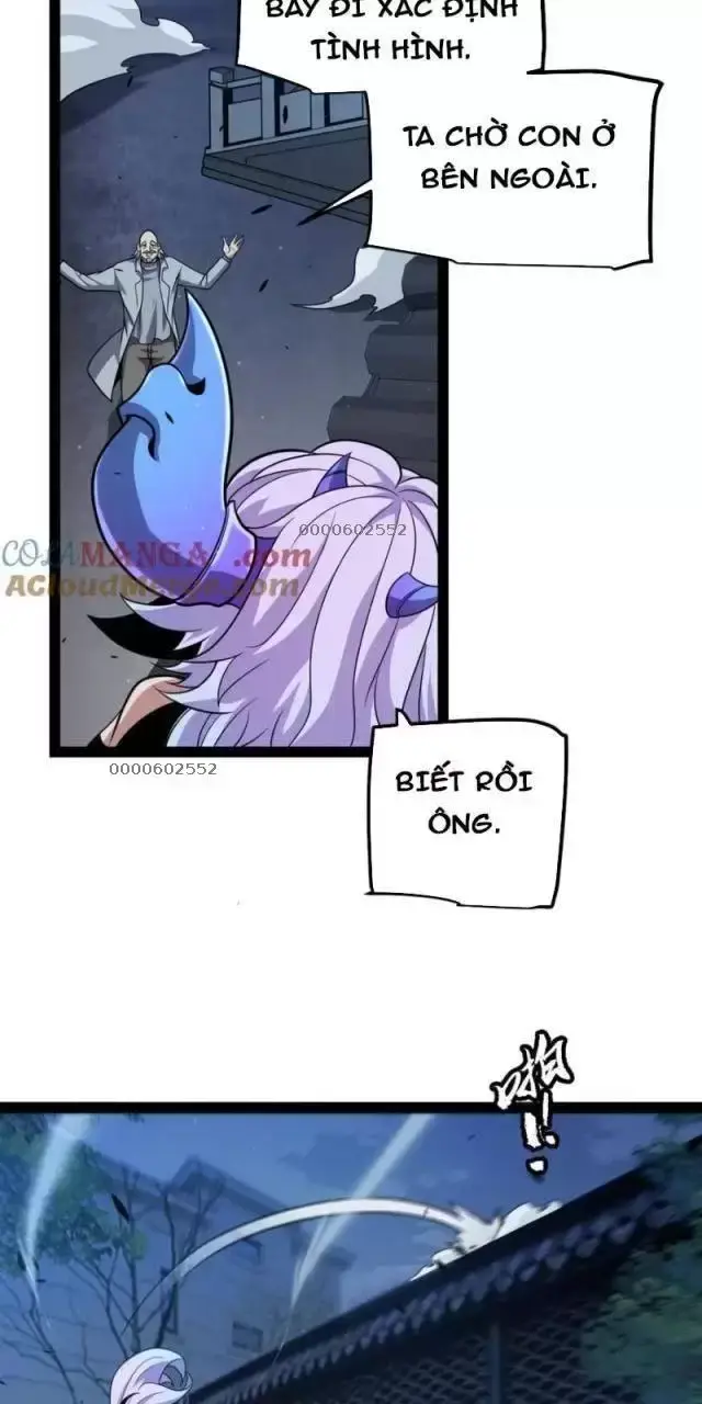 Chapter 291