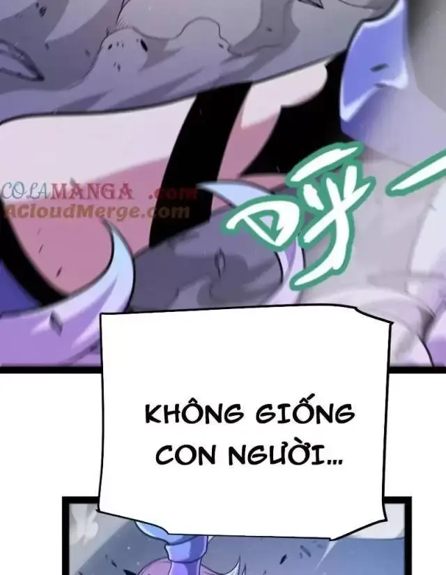 Chapter 291