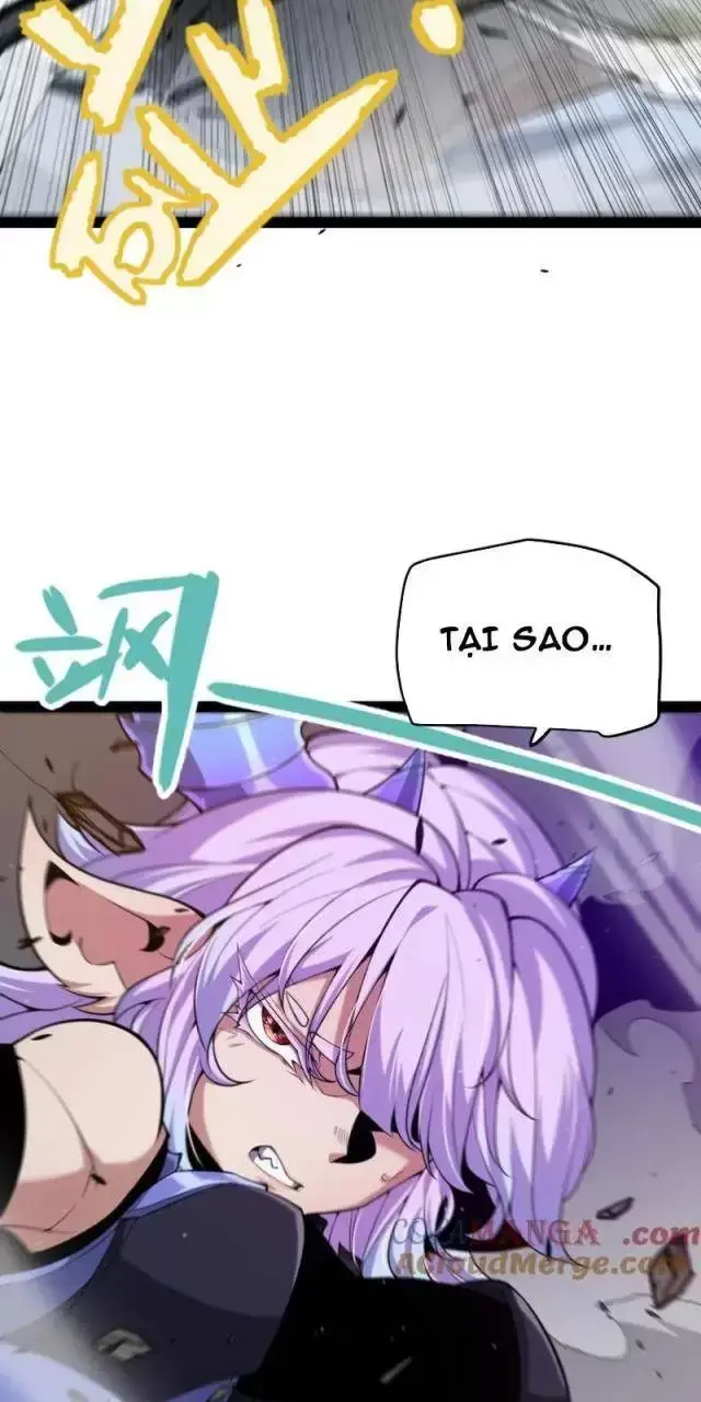 Chapter 291