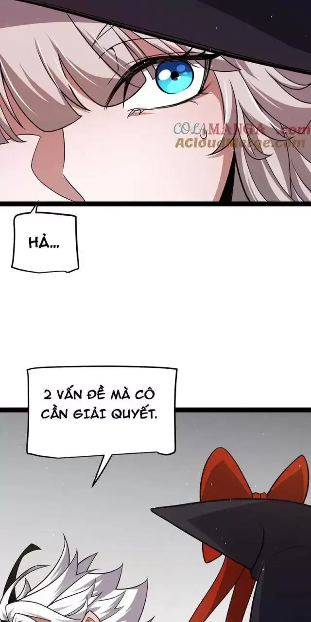 Chapter 285