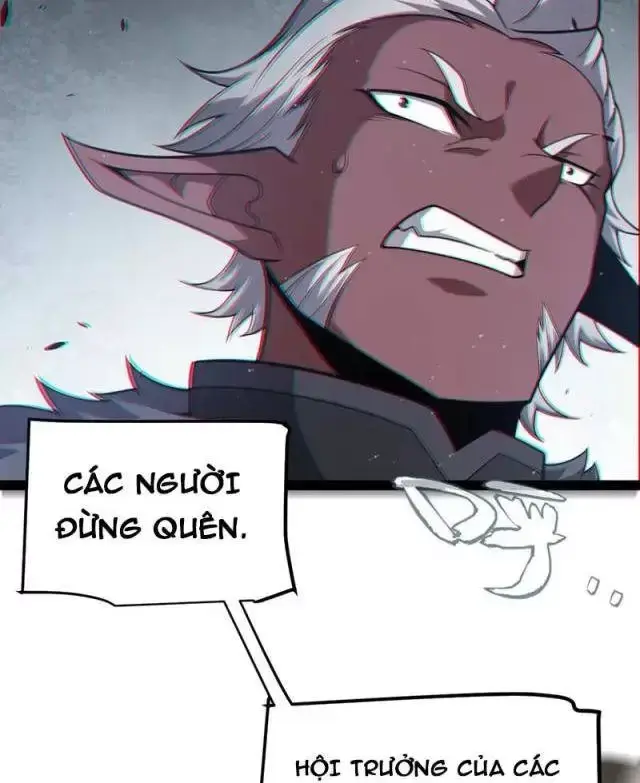 Chapter 285