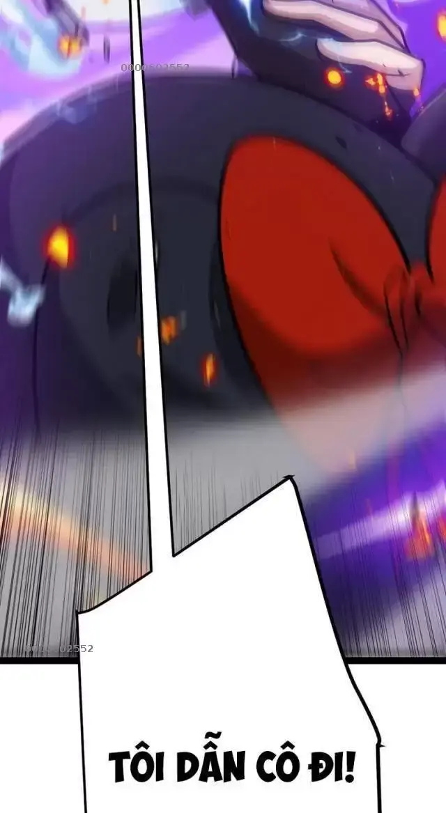 Chapter 284